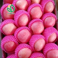 Fruit de pomme douce/pomme Gala/pomme Fuji prix 20kg/carton