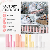 Baume à lèvres hydratant 3g aux fruits, gelée de pétrole en stick, 5 couleurs, faible MOQ 3 pièces, vente en gros, logo personnalisé