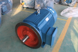 Moteurs électriques à induction triphasés série YE3 IE3 220V 460/480V 1500 tr/min, montage sur pied, entièrement fermés, pour moulin à maïs - Product Image 2