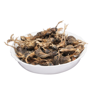 Makanan ringan hewan peliharaan puyuh kering beku tanpa pengawet makanan ringan puyuh kering Protein bergizi kaya untuk hewan kecil - Product Image 3