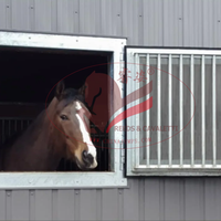 Fenêtres d'écurie de cheval de sécurité-verre trempé et joints en caoutchouc inclus