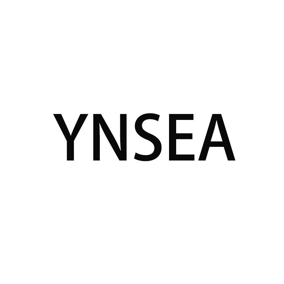 Huizhou City Yingshi Technology Co., Ltd. logo