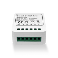 Mini interrupteurs intelligents Wifi DIY 10A/16A pour produits domotiques, automatisation intelligente, module universel DIY avec application EWelink