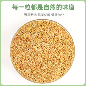 Alimento Premium de Mijo Amarillo para Aves 1200ml Nutritivo para Loros y Periquitos - Product Image 2