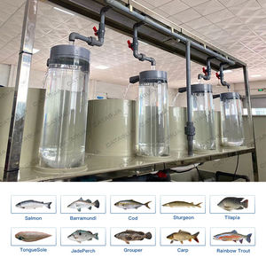 Incubateur d'œufs de carpe et de <span class=keywords><strong>poisson</strong></span>-chat transparent de 120 mm de diamètre, équipement d'incubation MC Jar, système d'éclosion de type <span class=keywords><strong>McDonald</strong></span> pour l'aquaculture - Product Image 4