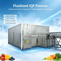 Automatische hogeproductieve vriesmachine voor groenten en fruit, met lage temperatuur en fluidisatie, voor snelle in-vries van erwten en aardbeien