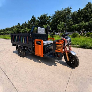 <span class=keywords><strong>Tricycle</strong></span> <span class=keywords><strong>électrique</strong></span> à trois roues basculant <span class=keywords><strong>tout</strong></span>-<span class=keywords><strong>terrain</strong></span> 60V avec pneus larges pour livraison et transport de marchandises 1200W Chine pour <span class=keywords><strong>adulte</strong></span> - Product Image 5