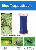 Massief Plastic Eco-Monitorsysteem Plakkerige Fruitvliegenvangen Voor Insectenbestrijding In De Landbouw Plastic Kleefbord