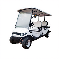 Voiture de golf électrique 6 places en gros d'usine chinoise, buggy de golf certifié CE, batterie au lithium/acide-plomb, 30 km/h, prix bas et abordable