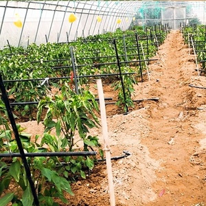 Fiber Glass Reinforced Plastic <b>Garden</b> Plant Support Stake - Product Image 6