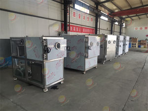 Lyophilisateur à congélation sous vide avec PLC intégré pour la conservation des aliments, des fruits, des légumes et des fruits de mer - Product Image 5