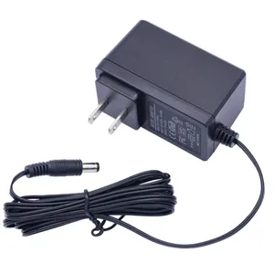 24W 12V2A Plug-In Power Adapter DC Output Type Original Battery Charger with EU US Plug 5V 1A 2A Options