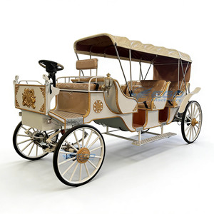 Chariot de tourisme de luxe Victoria électrique/à chevaux, capacité de 5 à 6 personnes, personnalisable pour des excursions confortables, marque XCEGO - Product Image 1