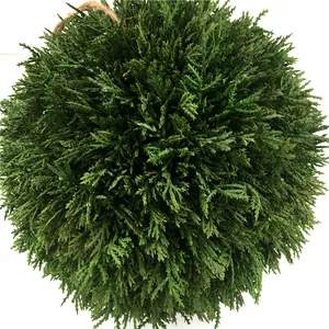 人工中国ボール植物プラスチックウォークグリーングラスボール