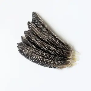 Hot Sale Multifunctional Light 15-22 Cm Pearl Chicken Nest Feather For Home Decoration