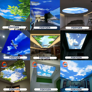 공장 판구이 3mWx2mH 신형 천장 장식 패널 3D 꽃 하늘 프린트 PVC 필름 스트레치 천장 라이트박스 가정용 - Product Image 4