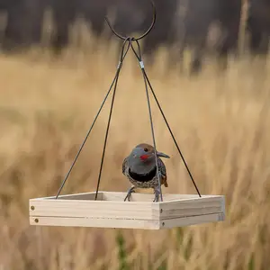 Houten Hangbak Wilde Vogel Feeder