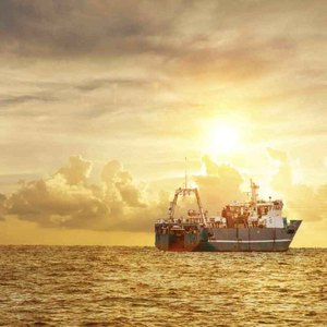 Competitive Price <strong>Shipping</strong> From China <strong>to</strong> Germany France Poland Hungary Slovakia Austria Logistics Company <strong>Shipping</strong> Agent - Product Image 4