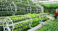 Système hydroponique multi-voûtes en PVC NFT pour la culture de légumes, grande capacité d'économie d'eau, vente en gros