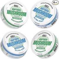 Fabricant de Sachets Oraux GMP – Saveurs Personnalisées, Sans Caféine, Sachets Énergétiques Nootropiques, Supplément Naturel de Vitamine B et L-Théanine pour