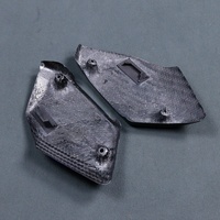 Panneau latéral de radiateur en fibre de carbone sèche de haute qualité pour BMW F900XR, pièces de modification de moto