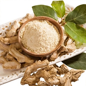 Oferta Especial: Jengibre en Polvo de Alta Calidad, Origen Vietnam, Estándar Internacional, Suministro a Granel - Product Image 1