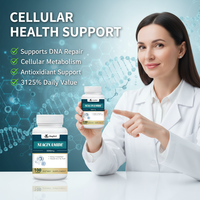 Capsules de Niacinamide Végétariennes 500mg Direct Usine – Supplément de Vitamine B3 Sans Effet de Suralimentation, à Base de Plantes, Favorise le Métabolisme Cellulaire