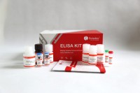 Solarbio Kit de haute qualité de troponine cardiaque de rat I CTnI Elisa pour la recherche scientifique