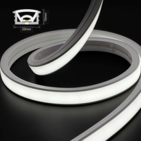 Shenzhen 12V 24V Ruban LED néon en silicone étanche IP67 100M/rouleau Bande lumineuse LED néon 3000K 4000K 6500K Bandes lumineuses LED