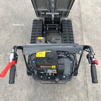 Kostenloser Versand ab Werk: Mini-Dumper 500kg mit Hoher Ausdauer und Stabilität