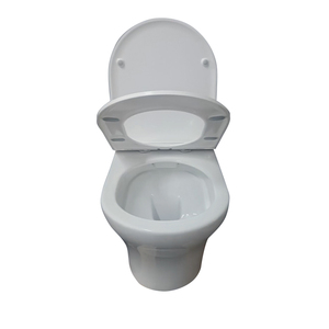 Trivello nascosto a parete <span class=keywords><strong>WC</strong></span> bagno senza montatura in ceramica Custom lavabo Retrete commerciale moderno pezzo unico scatola di cartone - Product Image 3