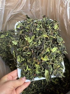 Fornitore di tè all'ingrosso campione gratuito cinese biologico Pai Mu Dan bianco peonia tè da Fuding Fujian - Product Image 3