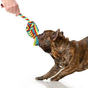 <span class=keywords><strong>Lot</strong></span> de 5 jouets pour <span class=keywords><strong>chien</strong></span> en corde de coton jouets pour <span class=keywords><strong>chien</strong></span> à mâcher pour mâcheurs agressifs vente en gros - Product Image 3