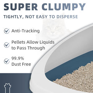 Fabbrica all'ingrosso senza polvere 5L Pet gatto lettiera di sabbia forte grumo Bentonite lettiera per gatti con l'alta qualità - Product Image 4