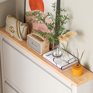 Scarpiera Ultra Sottile con Struttura in Acciaio 100%, Elegante Ingresso con Ribalta, Salvaspazio e Alta Capacità - Product Image 2