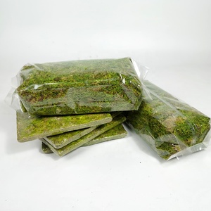 Emballage personnalisé mousse sèche naturelle papillon orchidée Dendrobium semis plante nutriment sol mousse Sphagnum <span class=keywords><strong>tortue</strong></span> tapis d'hibernation - Product Image 2