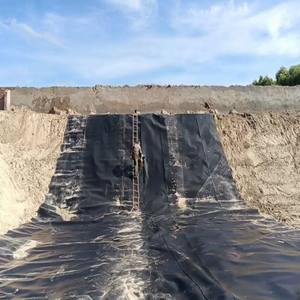 Geomembrana de HDPE para Revestimiento de <span class=keywords><strong>Humedales</strong></span> <span class=keywords><strong>Artificiales</strong></span>, 0.75mm 1.0mm, Restauración Ecológica - Product Image 2