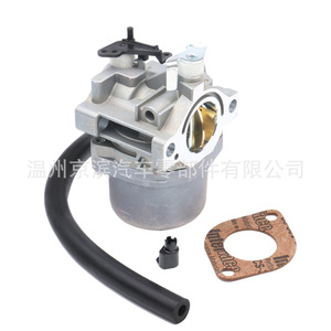 Carburador Briggs Stratton P2 590399 para motor 796077 215807 590399, pieza de repuesto de tipo mecánico - Product Image 4