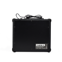 Amplificateur de guitare professionnel Deviser TG-25 en métal pour guitares électriques et acoustiques, fabriqué dans le Guangdong
