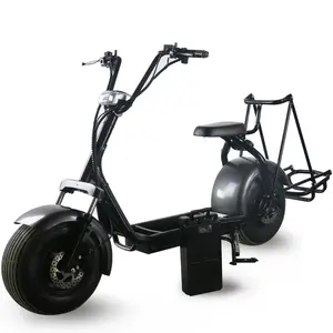 2023 New Electric Scooters 60V20A Two Wheel Citycoco Electric Bike/Scooter/Motorcycle For Adults Golf Use