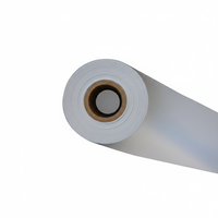 Papel de Protección de 48 g/m², Rollo Jumbo, Papel Periódico, Precio Bajo de Fábrica en China