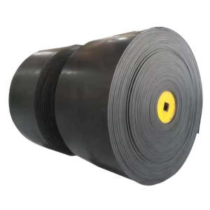 Endüstriyel ısı/yangına dayanıklı Ep Nn Ee Pn Piw kumaş kauçuk kırıcı için konveyör bant örgü konveyör özel kesme işleme - Product Image 2