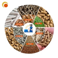 Nouvelle machine à granulés d'aliments à haute efficacité, capacité de 500 kg/h, taille de granulés personnalisable pour la fabrication d'aliments pour animaux de ferme, volailles et bétail