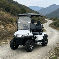Carrito de Golf Eléctrico Personalizado en Color con Configuración Técnica y Batería de Litio de Alta Eficiencia de 72V, 4 Plazas