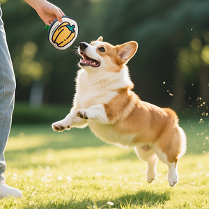 <span class=keywords><strong>Jouet</strong></span> à mâcher en peluche <span class=keywords><strong>pour</strong></span> <span class=keywords><strong>chien</strong></span>, en forme de légume, durable, avec son froissé, résistant à l'usure et <span class=keywords><strong>pour</strong></span> le nettoyage des dents, <span class=keywords><strong>pour</strong></span> l'auto-amusement et le soulagement du stress - Product Image 3