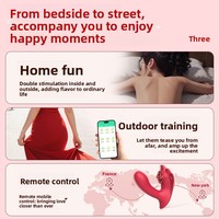 Vibrateur sans fil portable à double vibration puissante pour la stimulation du point G et du clitoris, jouet sexuel pour adultes améliorant l'orgasme