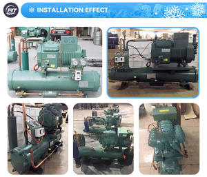 Ruitong RT-500ระบายความร้อนด้วยน้ำความจุสูงระบายความร้อนด้วยน้ำสำหรับหน่วยควบแน่นแบบกึ่งปิด-30-20C พลังงานที่มีประสิทธิภาพที่ดีเยี่ยม - Product Image 6