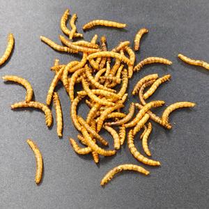 מזון זוחלים וציפורים ממותג פרטי (OEM) עשיר בחלבון, חטיפים טבעיים ובריאים, תולעי קמח מיובשות - Product Image 4