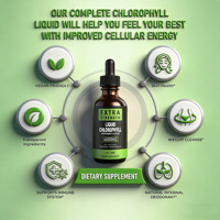 Gouttes de chlorophylle liquide pour adultes, améliorant la santé, soutien immunitaire naturel et détoxification, suppléments d'extrait de chlorophylle végétale