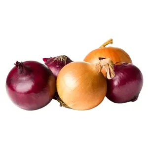 Yellow Onions For Sale Direct Supply Good Quality Red Onion